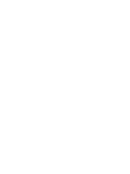 Icono Flash Test